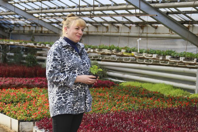 В юбилейный год озеленители порадуют жителей и гостей Находки новыми цветниками