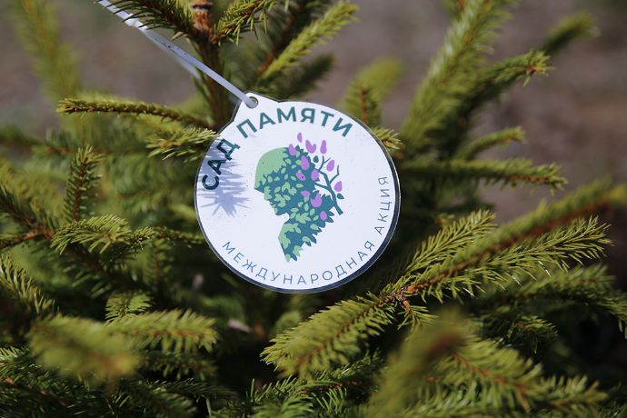 75 лет Победы: в Находке стартовала акция «Сад Памяти»