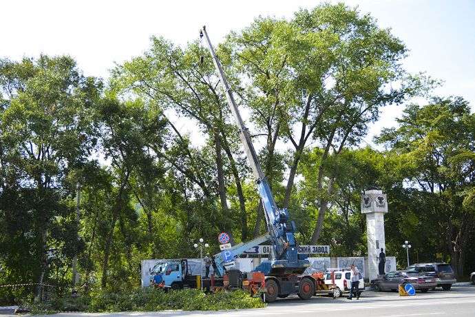 В Находке ликвидируют аварийные деревья