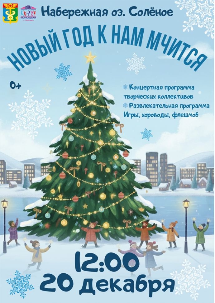 Концертная программа "Новый год к нам мчится"